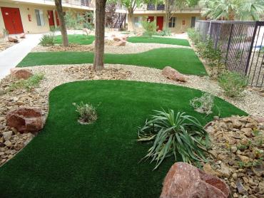 Artificial Grass Photos: Artificial Pet Turf Temecula California Back and Front Yard